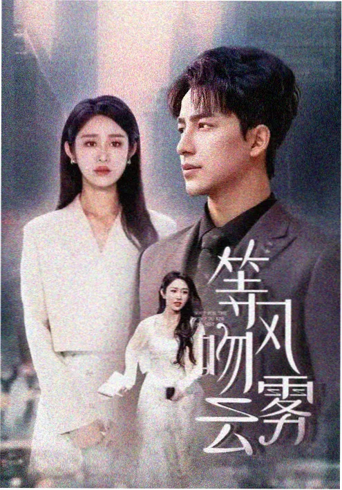 潮汐之上 国产都市情感剧海报